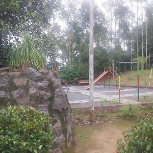 Paddy View Resort Wayanad